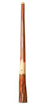 Wix Stix Didgeridoo (WS391)